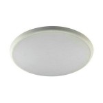 25W 300mm Round Dimmable and CCT Adjustable LED Oyster Ceiling Light